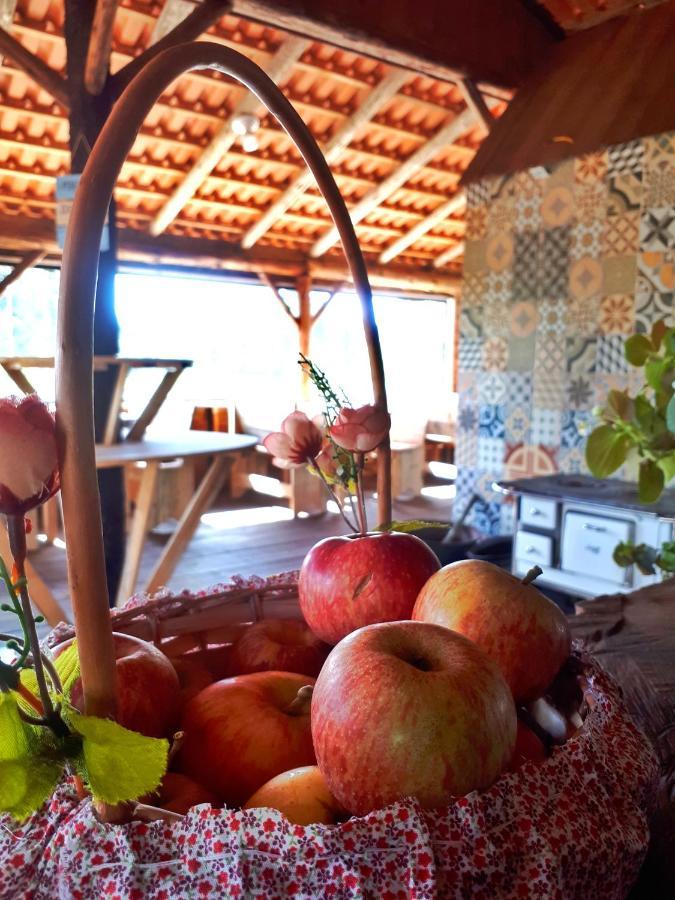 Fazenda Invernada Grande Turismo Rural Bom Jardim da Serra Ngoại thất bức ảnh