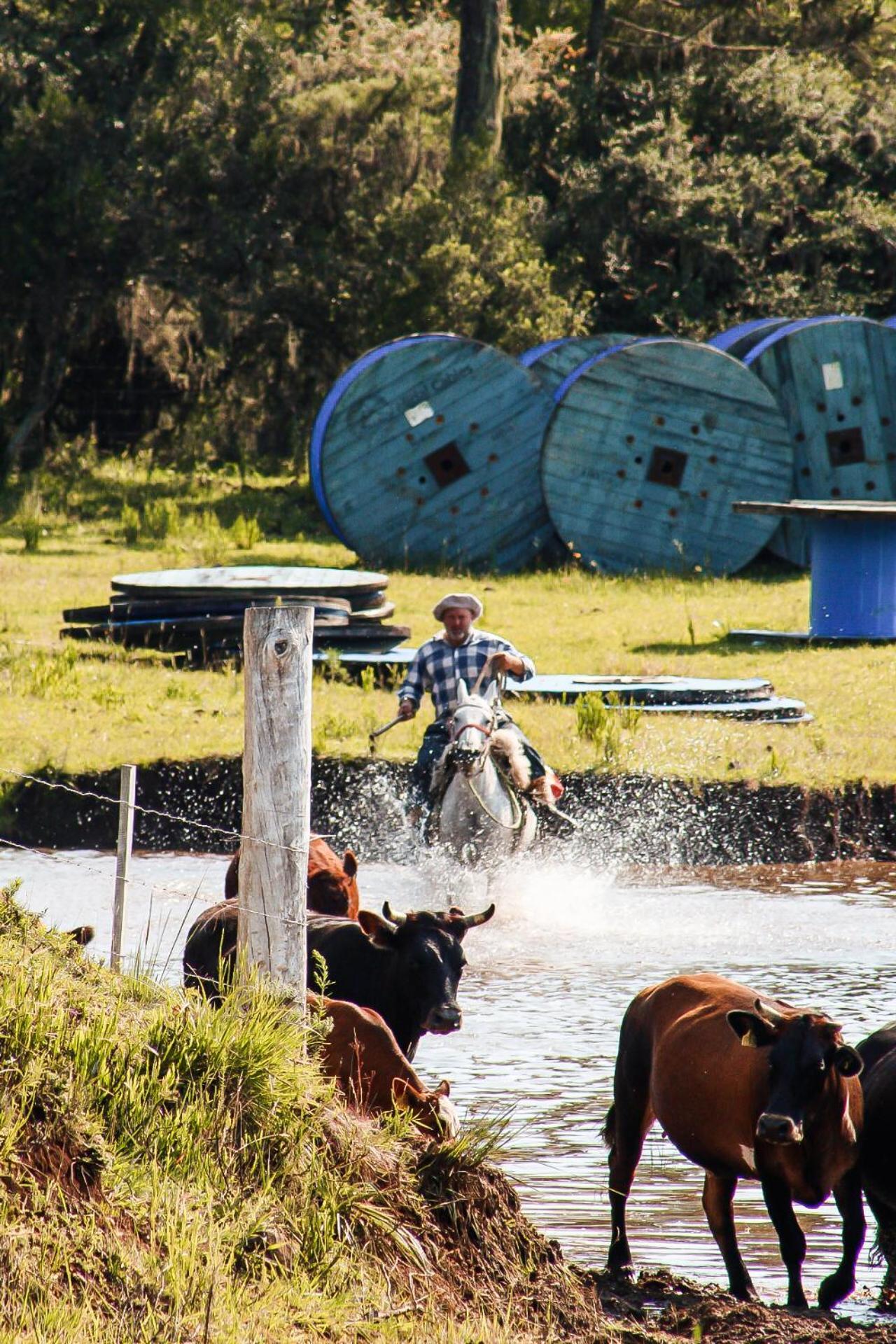 Fazenda Invernada Grande Turismo Rural Bom Jardim da Serra Ngoại thất bức ảnh